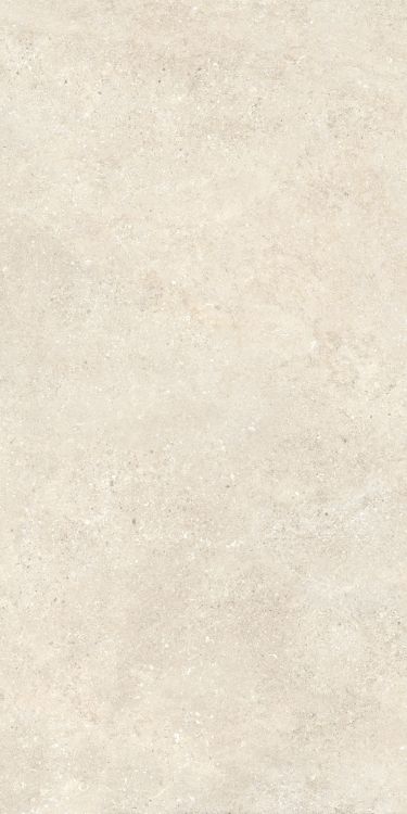 Untamed Wander Warm 24 x 48